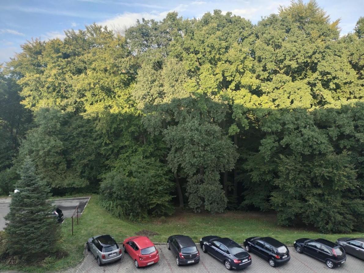 Nowoczesne Mieszkanie 63M2 Jastrzębie Zdrój Kültér fotó